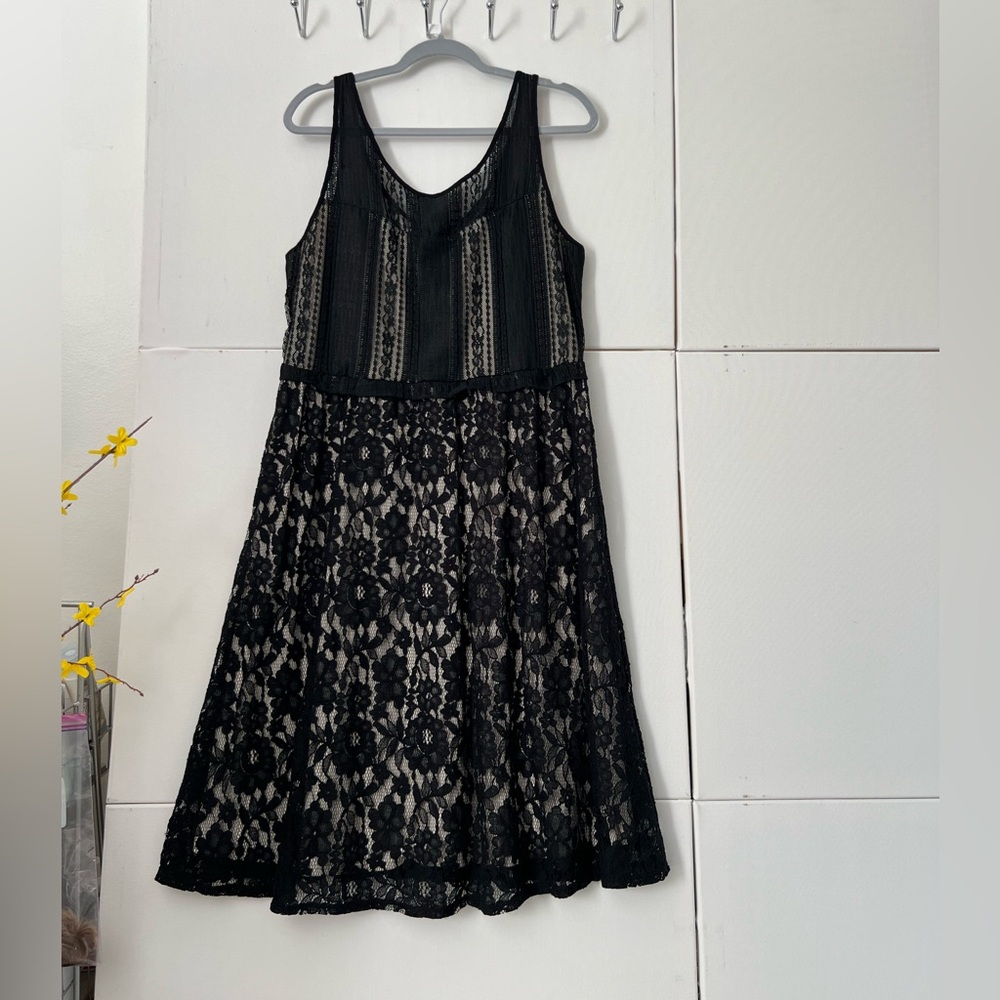 Lane Bryant Black and White Lace Dress
